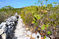 Path to Haulover Plantation with original walls