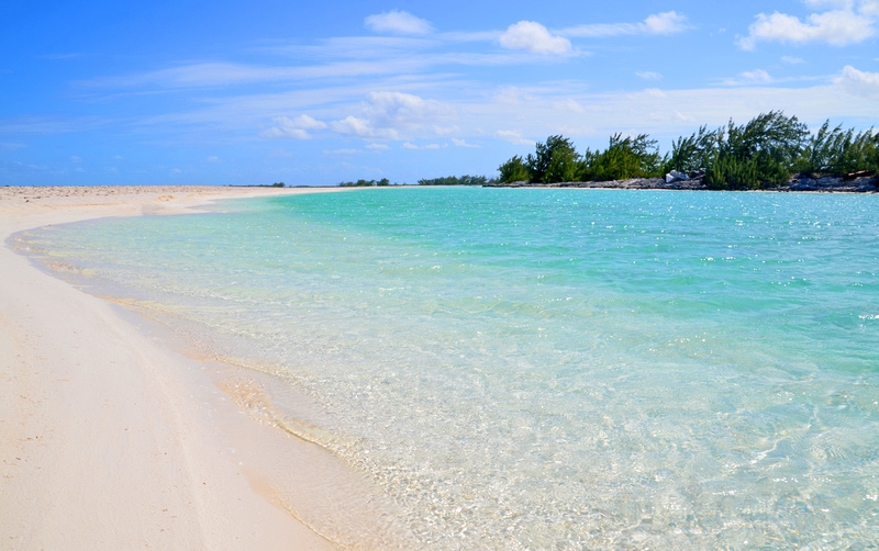 Amy Caicos Photography | Wild Cow Run, Middle Caicos, Turks and Caicos ...