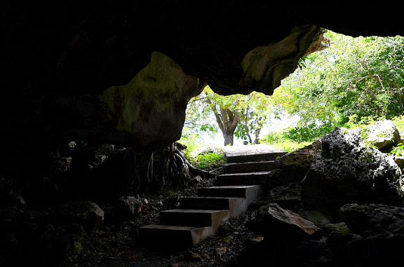 Conch Bar Caves